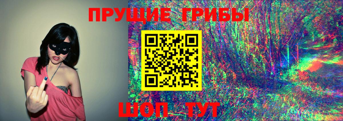 Корсаков  Псилоцибиновые грибы Magic Shrooms  Псилоцибиновые грибы Psilocybe  Вход с VPN 